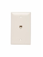 Wall Plate with Telephone Jack